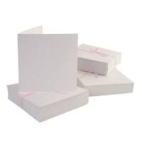 Anita's Envelopes White ANT1512000 100 Sheets