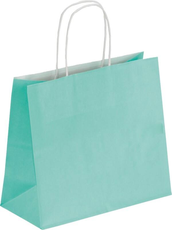 Raja carrier bag paper sea green 100 gsm 21 x 11 x 24 cm pack of 50