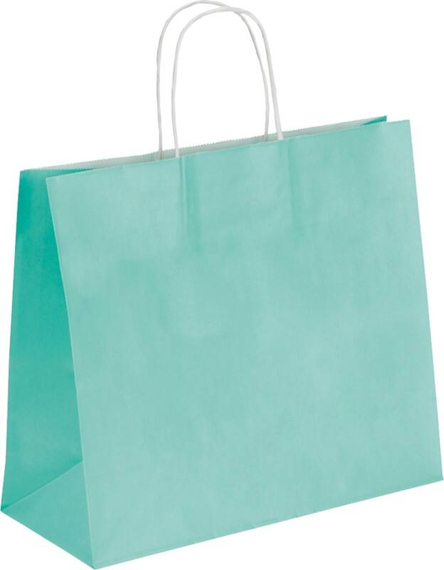 RAJA Carrier Bag Paper Sea Green 100 gsm 28 x 13 x 32 cm Pack of 50