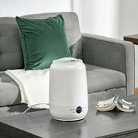 Homcom Humidifier with 3 Adjustable Modes 5 L