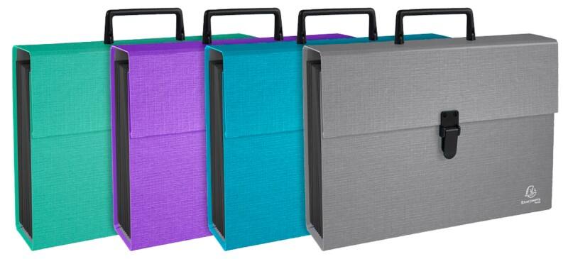 Exacompta Expanding File Special format Blank Coated Card Assorted 56750E 32 (W) x 24 (H) cm Pack of 4