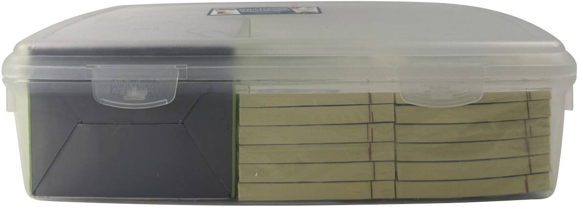 Whitefurze Polypropylene Storage Box 3L With Lid Natural 2 x 2.9 x 0.8 cm