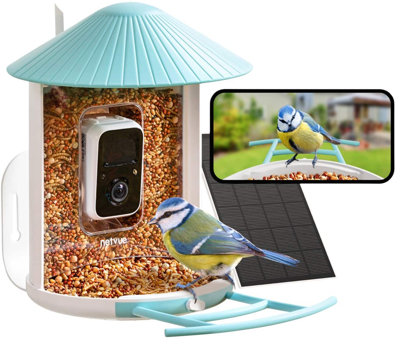 Birdfy Smart AI Bird Feeder & Bird Watch Camera Solar Powered