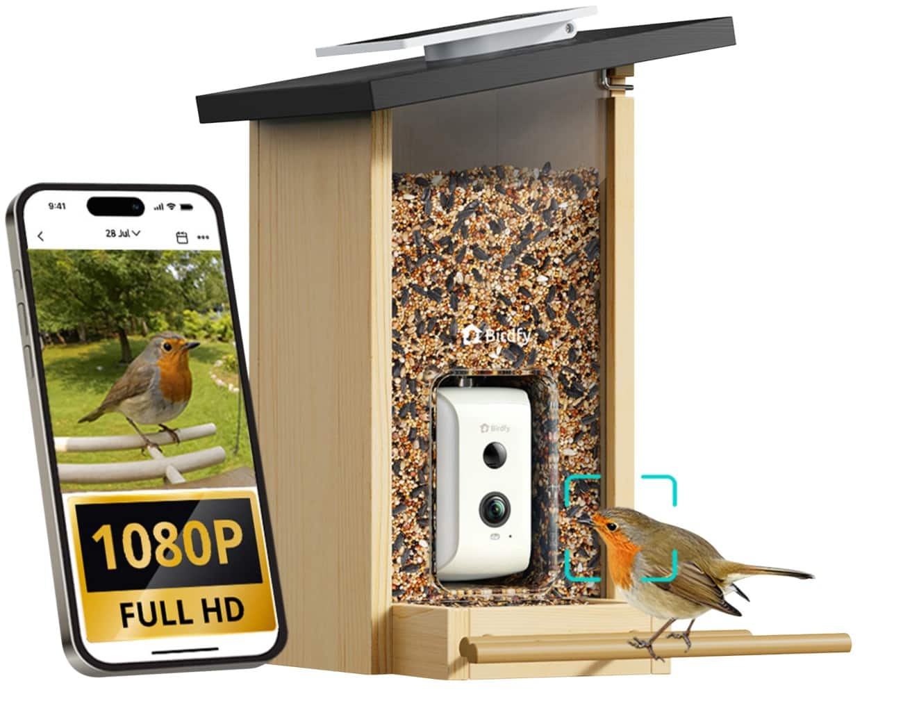 Birdfy Ebony Lite Smart AI Bird Feeder & Bird Watch Camera Solar Powered