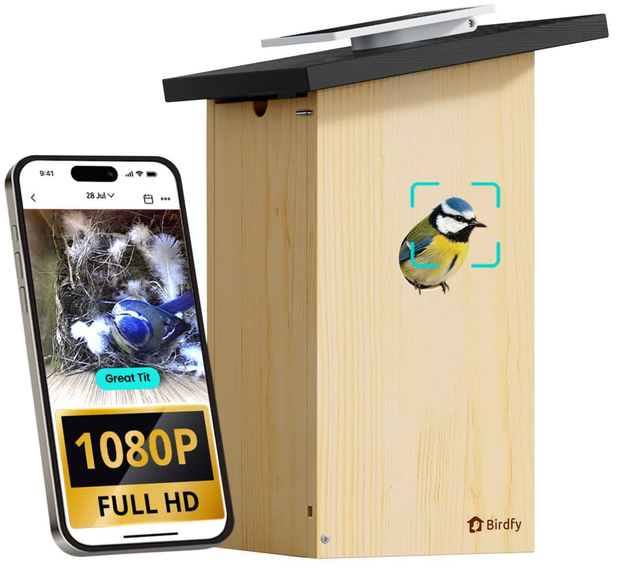 Birdfy Ebony Lite Smart AI Bird Feeder & Bird Watch Camera Solar Powered