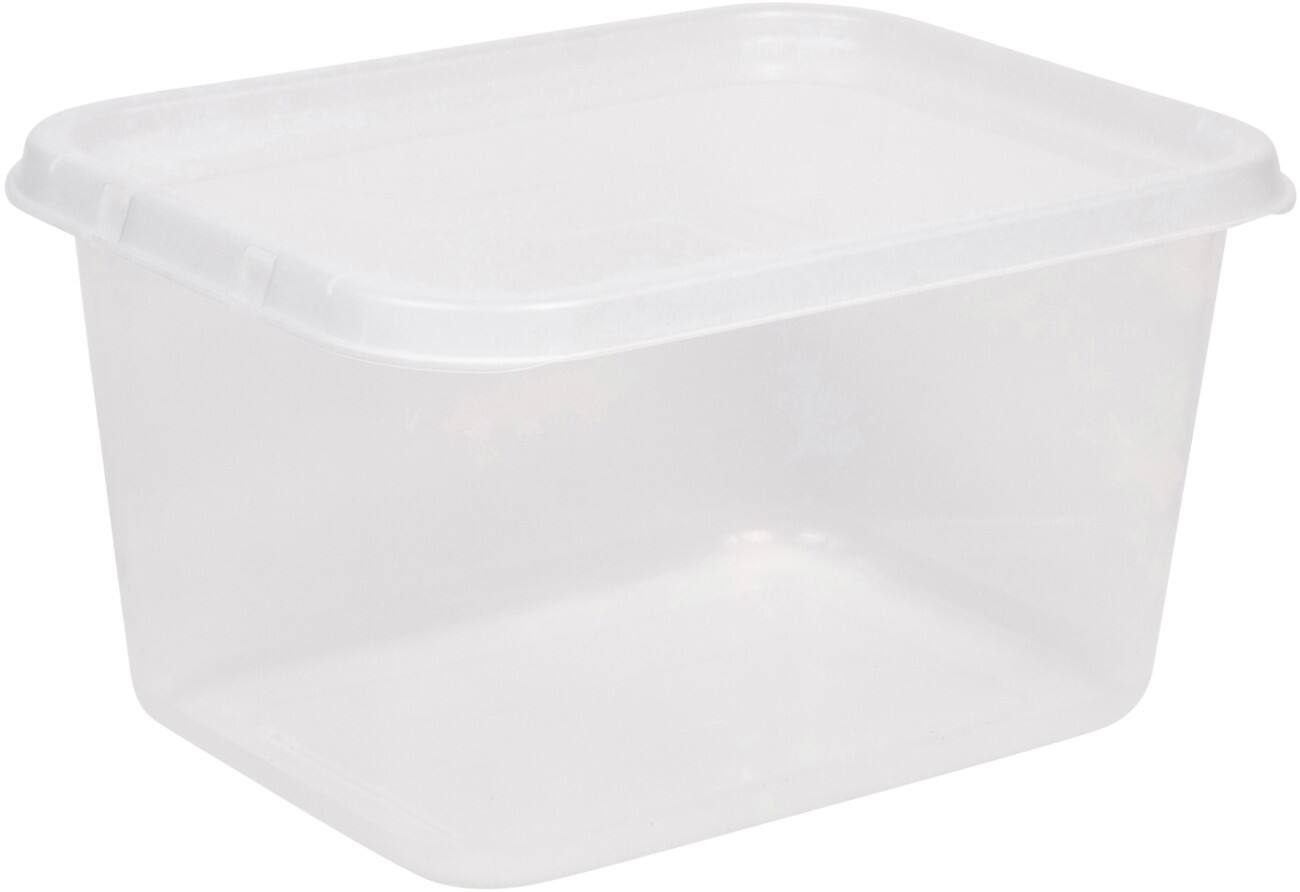 Viking Basic PP (Polypropylene) Storage Box 25 L With Lid Transparent 2.55 x 4.6 x 3.55 cm