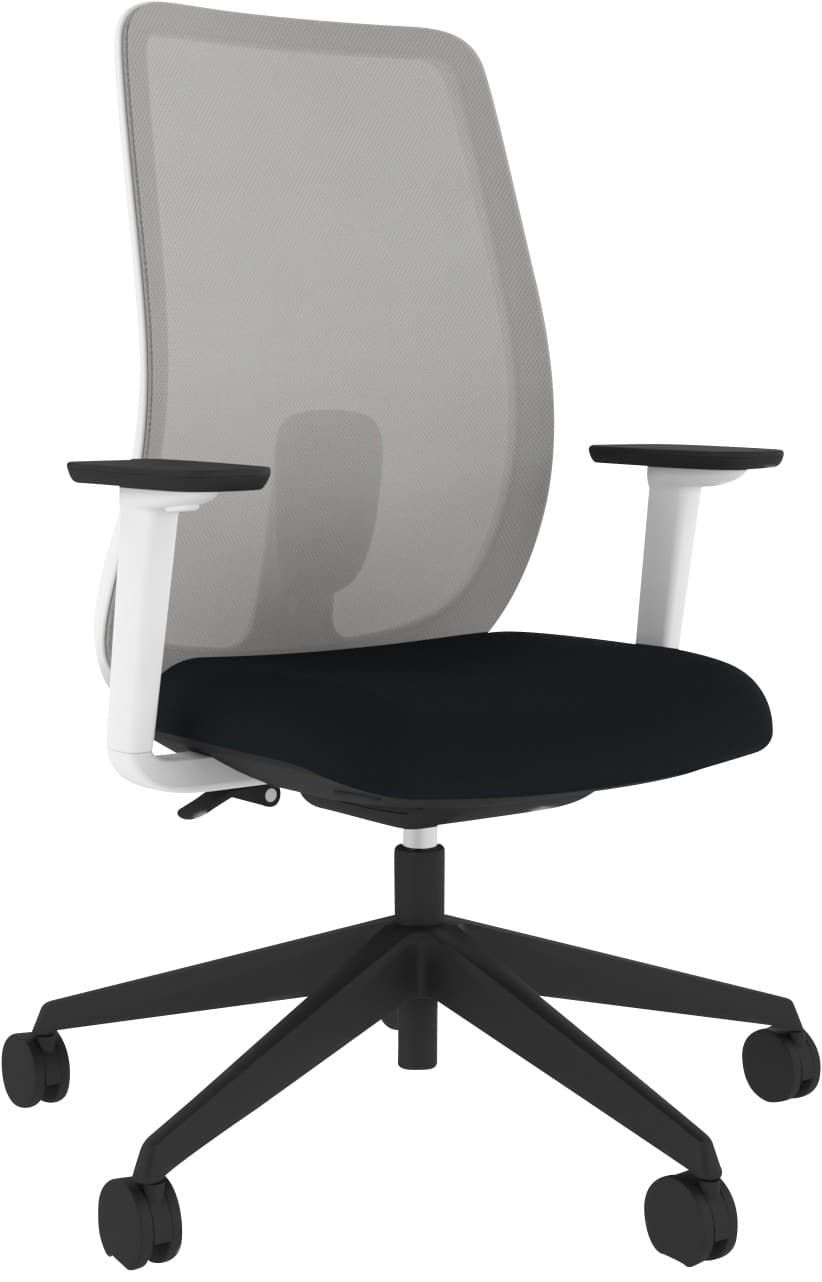 Energi-24 Ergonomic Chair Synchro Tilt Fabric 4D Armrest Height-Adjustable Seat White 150 kg ECHO/1/W/4D/LG/BK 690 x 690 x 1,050 mm 5