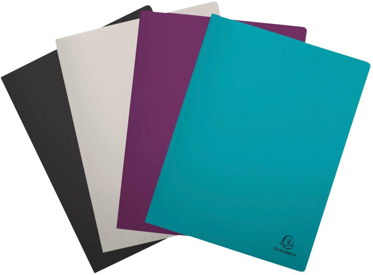 Exacompta Titane Display Book 30 Pockets A4 Assorted Pack of 4