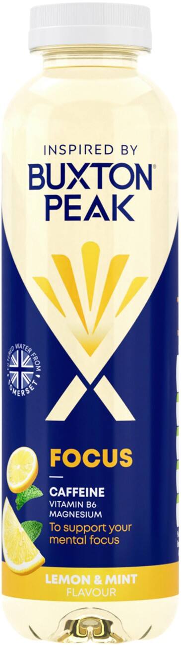 Buxton Peak Soft Drink Lemon Mint Pack of 12 of 400 ml