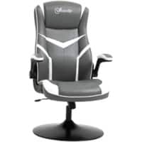 Vinsetto Gaming Chair Fixed Armrest PVC (Polyvinyl Chloride), Sponge, Steel Grey 921-352V71LG