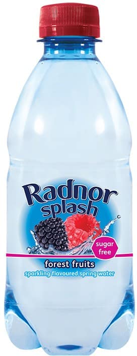Radnor Hills Splash Sparkling Spring Water Forest Fruit 24 Bottles of 330 ml