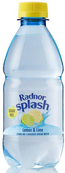 Radnor Hills Splash Sparkling Spring Water Lemon and Lime 24 Bottles of 330 ml