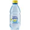 Radnor Hills Splash Sparkling Spring Water Lemon and Lime 24 Bottles of 330 ml