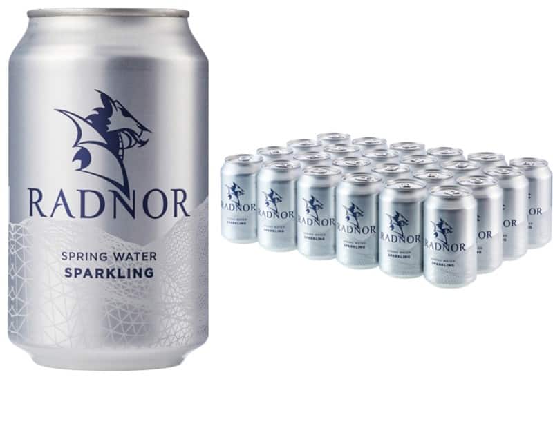 Radnor Hills Sparkling Spring Water 330 ml Pack of 24