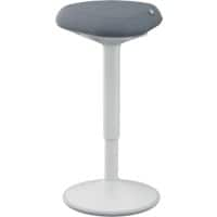 Leitz Ergo Active Standing Stool 6545 With Adjustable Comfort Seat 57 - 82 cm Up to 110 kg Light Grey