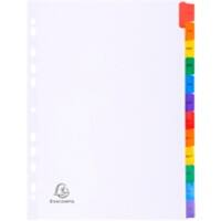 Exacompta Jan - Dec Dividers A4 White Multicolour 12 Part Card 11 Holes 1113E Pack of 20