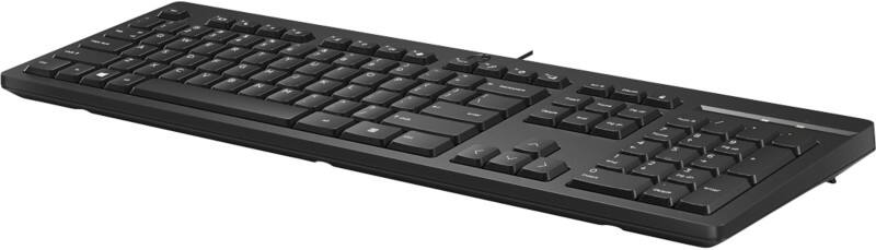 HP Keyboard Wired QWERTY Black 125