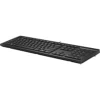 HP Keyboard Wired QWERTY Black 125