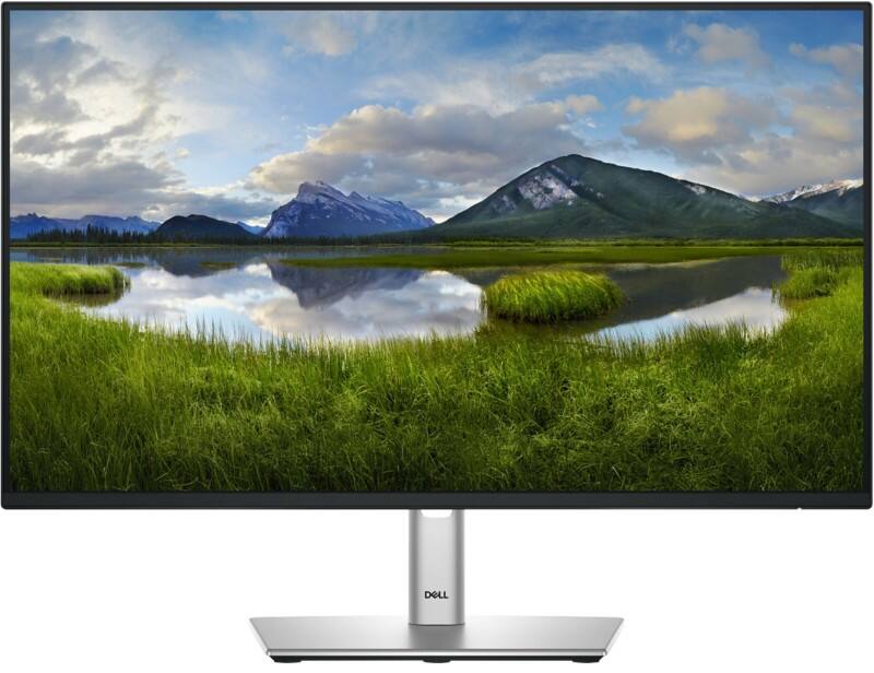 Dell P Series 61 cm (24") LCD Monitor P2425HE