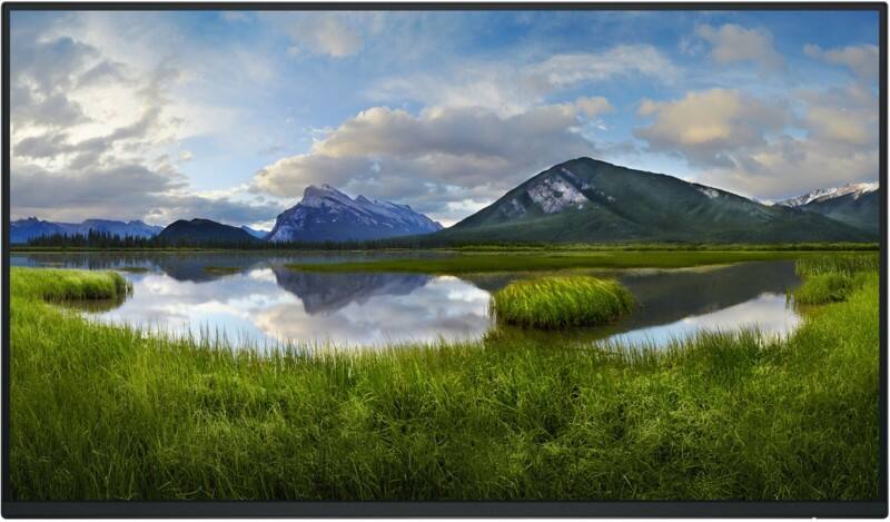 Dell P Series 61 cm (24") LCD Monitor P2425H