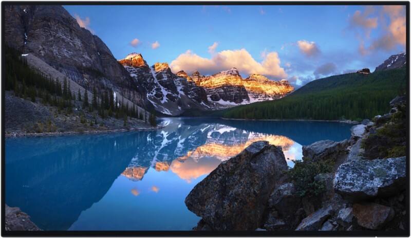 Dell UltraSharp 60.5 cm (23.8") LCD Monitor U2424H