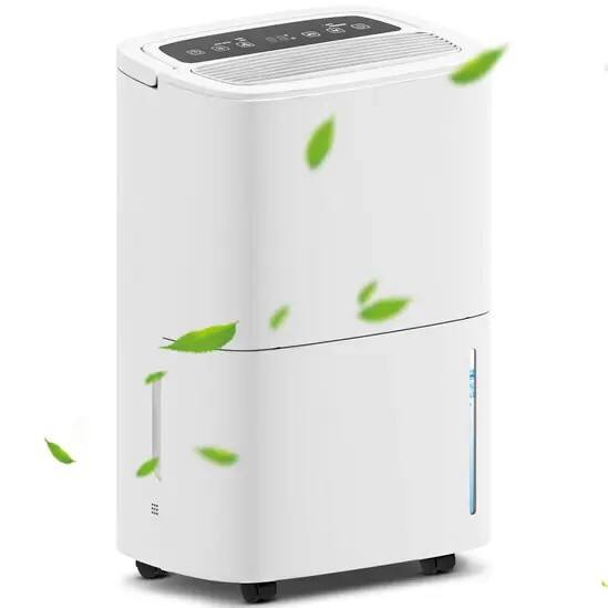 HOMCOM Dehumidifier with Continuous Drainage 5L White 821-038V70WT