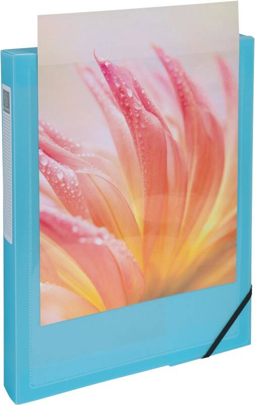 Exacompta Kreacover Pastel Filing Box 59279E A4 PP (Polypropylene) Rubber Band 25 (W) x 4 (D) x 33 (H) cm Assorted Colours 40 mm Pack of 5