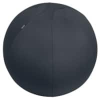 Leitz Ergo Ergonomic Sitting Ball Dark Grey 150 kg 65420089 650 x 650 x 650 mm  