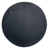 Leitz Ergo Ergonomic Sitting Ball 6543 Stopper Function Carry Handle Washable 75 cm Up to 150 kg Dark Grey