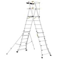 Climb-It Platform Steps CAT411 Silver 91.7 x 241 x 372.3 cm