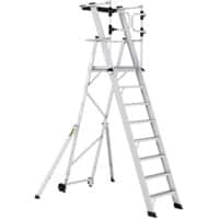 Climb-It Platform Steps CAG308 Silver 172.5 x 130.5 x 297.4 cm