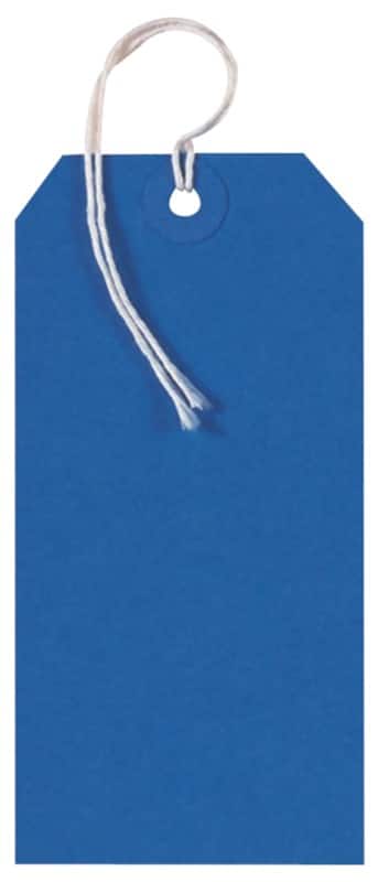 Tags Blue 6 x 12 cm Pack of 250