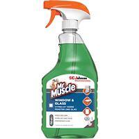 Mr Muscle Glass and Window Cleaner 750ml