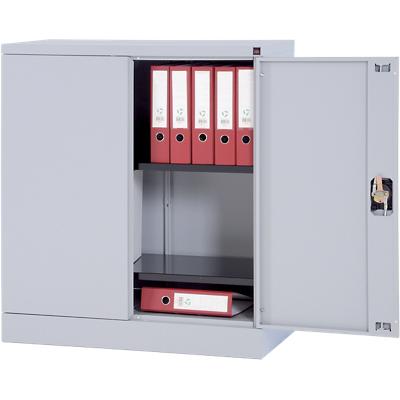 Realspace Regular Door Cupboard Lockable with 2 Shelves Steel 920 x 420 x 1000mm Silver