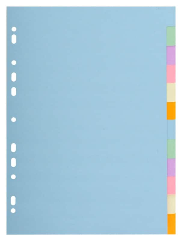 Exacompta Blank Dividers A4 Assorted 12 Part 170 gsm Cardboard 11 Holes 1612E