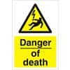 Warning Sign Danger Of Death Fluted Board 30 x 20 cm