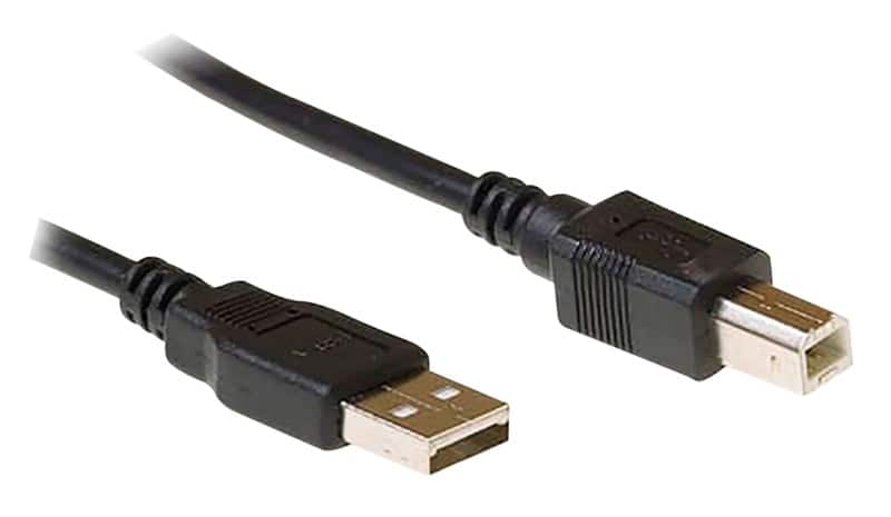 ewent USB Cable USB A Male USB-B Male 3 m Black