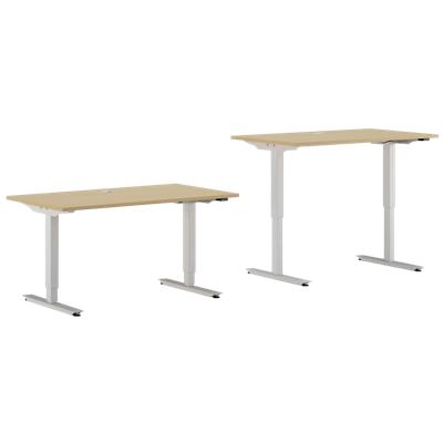 EFG Sit Stand Desk BRO18MBZ4 Birch 1,800 mm  x  800 mm