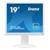 iiyama 19 Inch ProLite LED Backlit Monitor