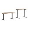 EFG Sit Stand Desk BRO16ME62 Oak 1,600 mm  x  800 mm