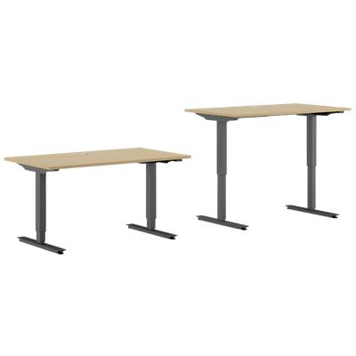 EFG Sit Stand Desk BRO12MB62 Birch 1,200 mm  x  800 mm