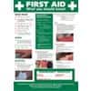 Poster First Aid Plastic 42 x 59.4 cm