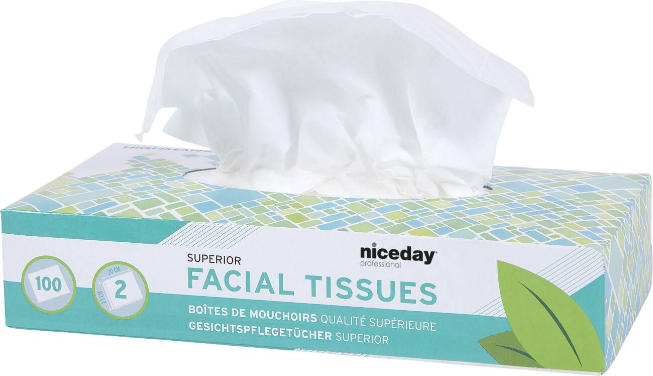 Niceday Professional Facial Tissue Box Superior 2 Ply 100 Sheets