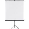 Franken Projector Screen Black 150 x 150 cm