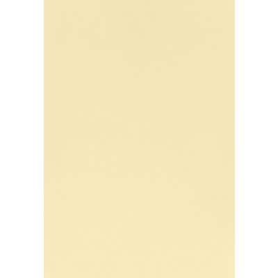 Office Depot Coloured Paper A4 100 gsm Wove Cream 500 Sheets
