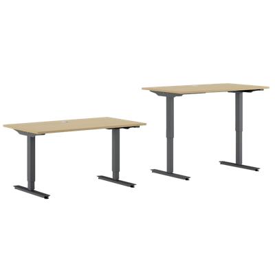 EFG Sit Stand Desk BRO18MB62 Birch 1,800 mm  x  800 mm